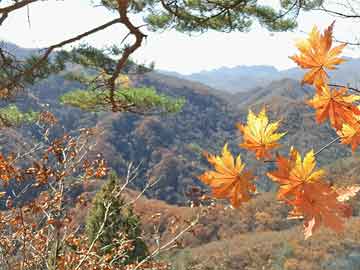 九江购买打胎药打胎没掉干净吃什么药（打胎没掉干净,吃什么药）